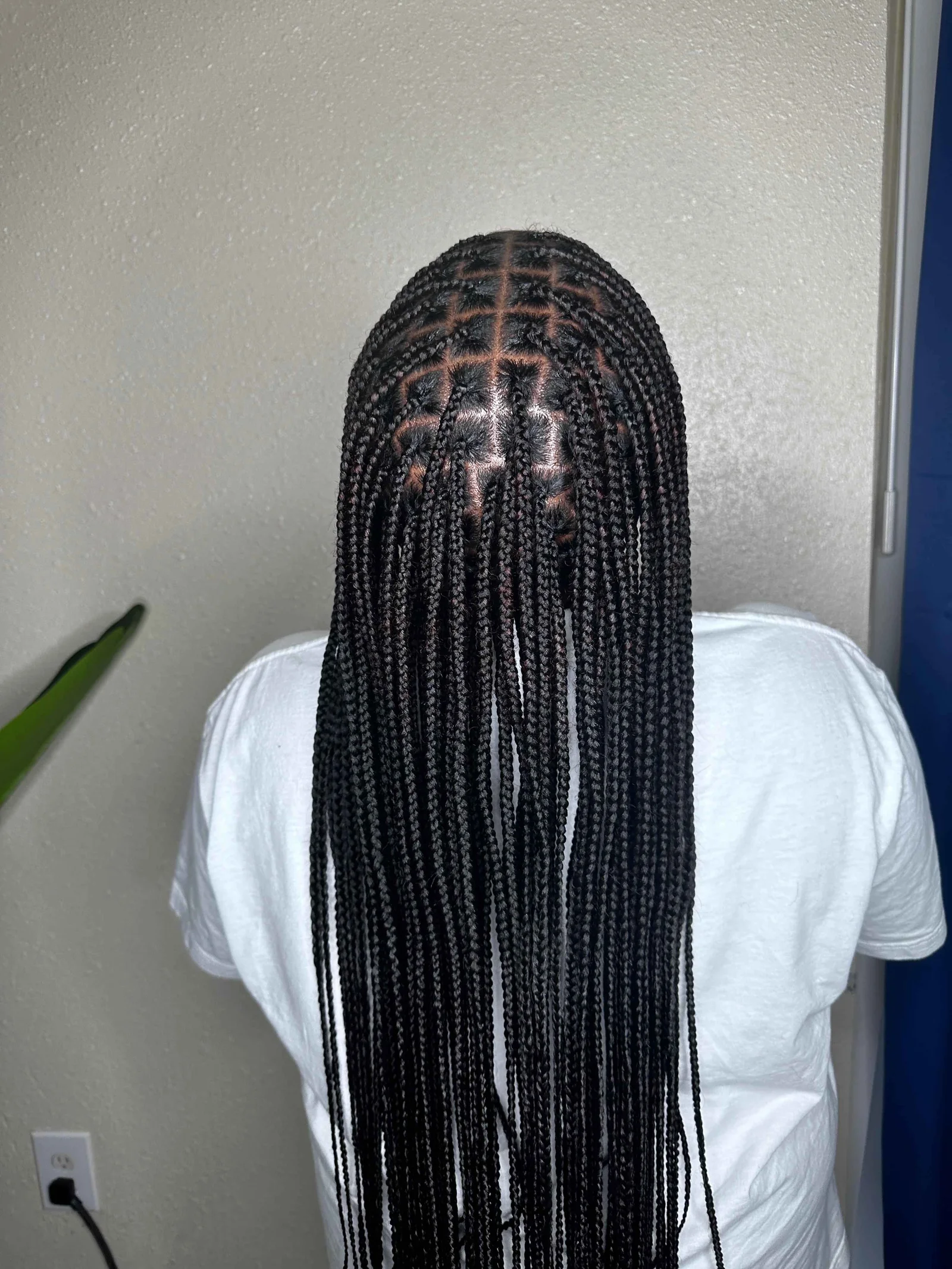 Regular Knotless Braids A