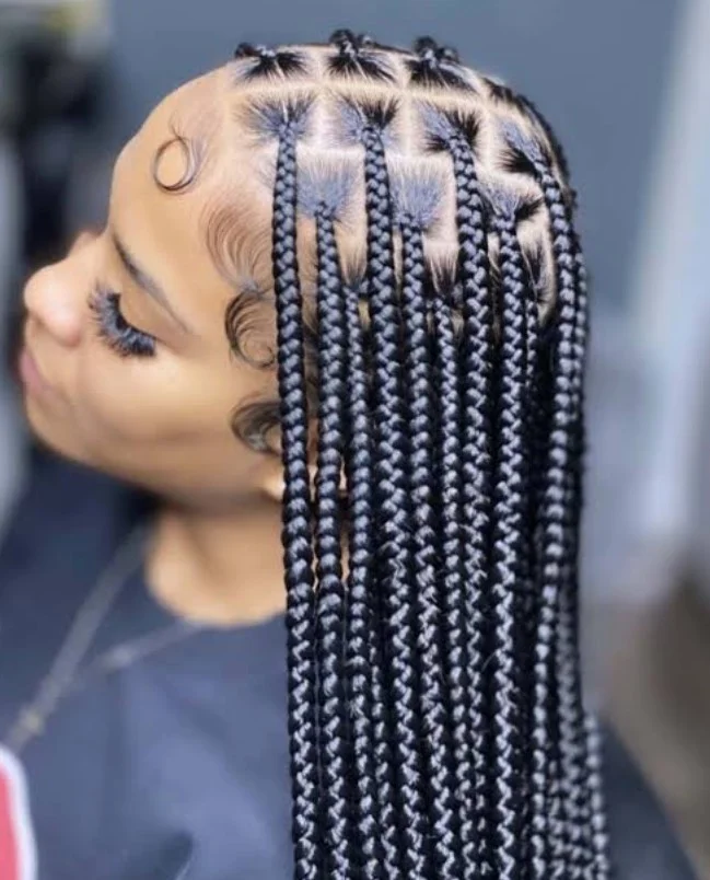 Regular Knotless Braids C